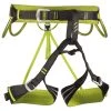 Alpine Flash - Climbing Harness